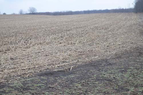 Property photo 55 - 98+/- Acres Offered in 6 Tracts or Combinations, Noble County, Indiana Farm